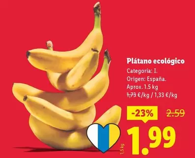Plátano Ecológico