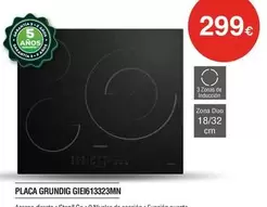 Grundig - Placa Giei613323mn
