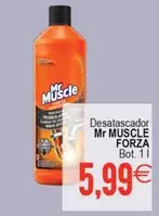 Mr Muscle - Desatascador Forza