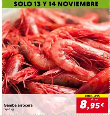 Solo - Gamba Arrocera