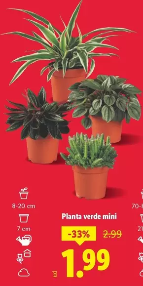 Planta Verde Mini