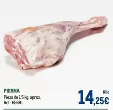 Pierna