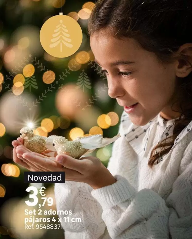 Set 2 Adornos Pjaros