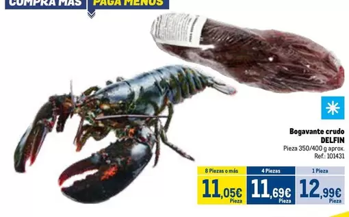 Delfín - Bogavante Crudo