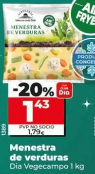 Dia Vegecampo - Menestra De Verduras 