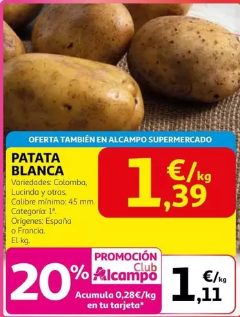 alcampo - Patata Blanca