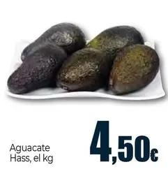 Aguacate Hass