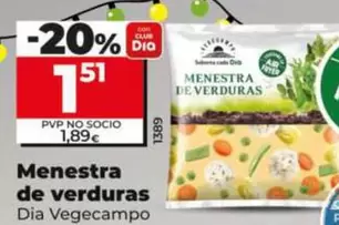 Dia Vegecampo - Menestra De Verduras