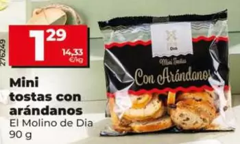 Dia - Mini Tostas Con Arandanos