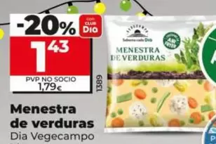 Dia Vegecampo - Menestra De Verduras