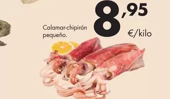 Calamar-Chipiron Pequeño