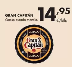 Gran Capitán - Queso Curado Mezcla