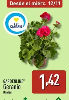 Gardenline - Geranio