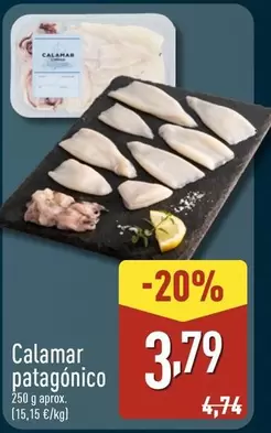 Calamar Patagonico