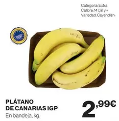 Plátano de canarias IGP