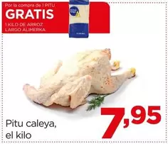 Alimerka - Pitu Caleya