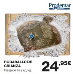 Prodemar - Rodaballo De Crianza