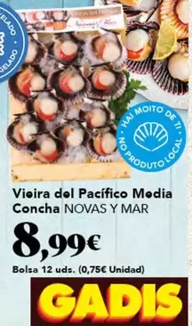 Vieira Del Pacifico Media Concha Novas Y Mar