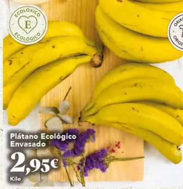 Plátano Ecológico Envasado
