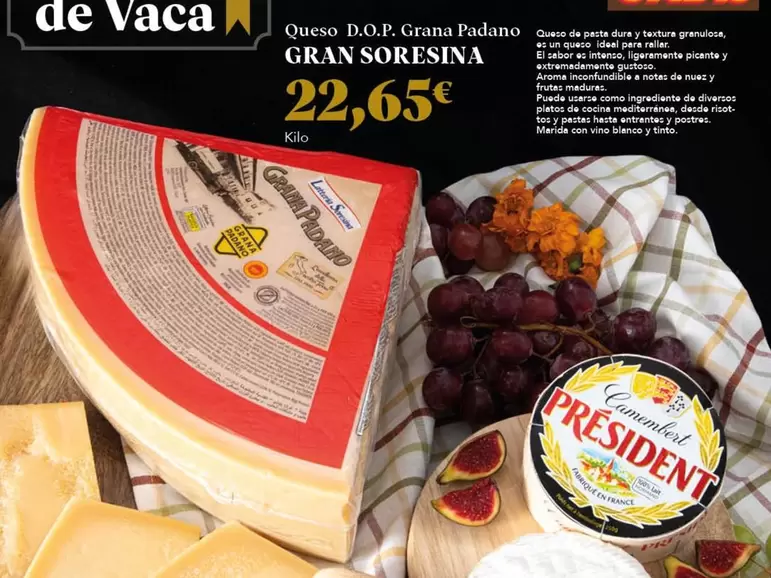 grana padano - Queso D.o.p. Grana Padano Gran Soresina