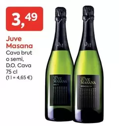 Juvé Masana - Cava Brut O Semi, D.o. Cava