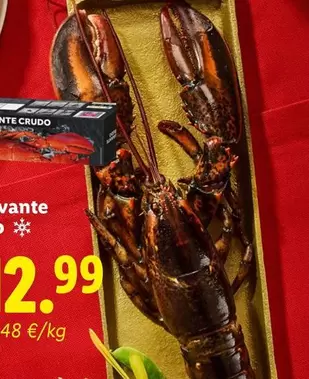 Deluxe - Bogavante Crudo