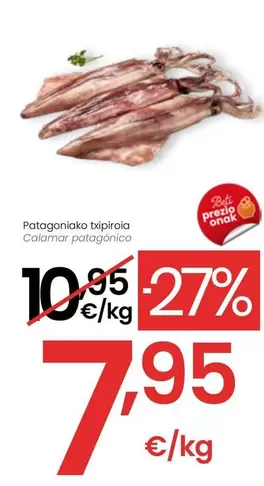 Calamar Patagónico 