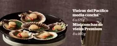 Premium - Vieiras Del Pacifico Media Concha
