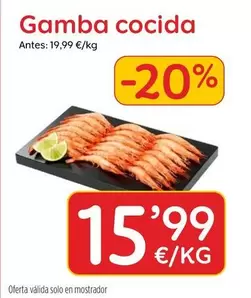 Solo - Gamba Cocida