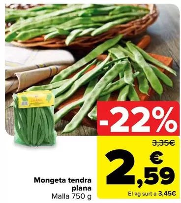 Mongeta Tendra Plana