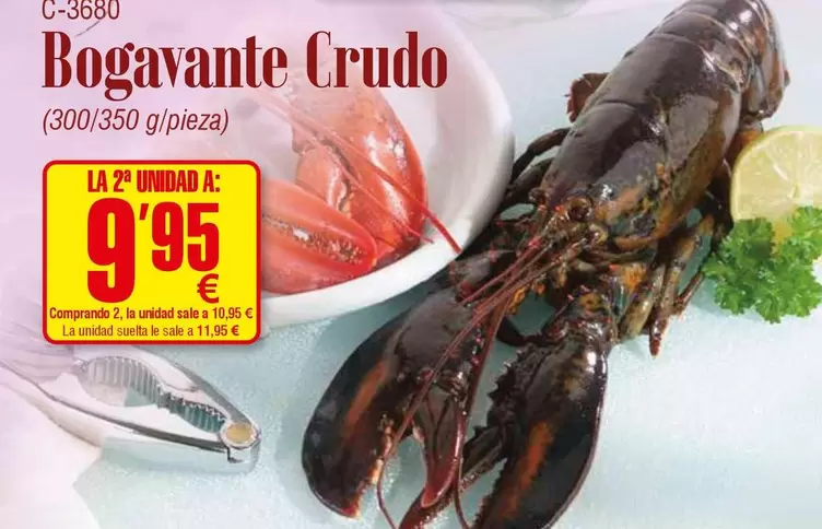 Bogavante Crudo