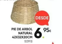 Pie De Arbol Natural