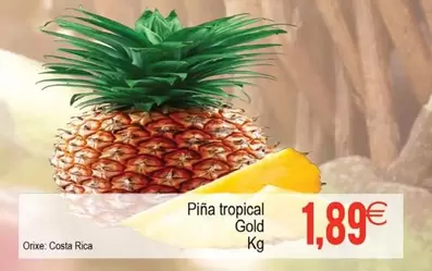 Piña Tropical Gold