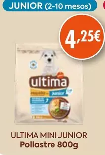 Última - Mini Junior Pollastre
