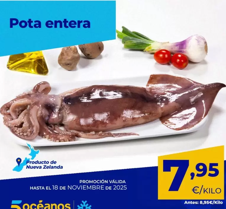 Protector De Nueva Zelanda