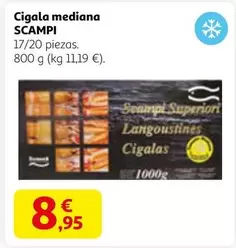 Cigala Mediana