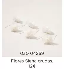 siena - Flores Siena Crudas
