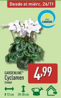 Gardenline - Cyclamen