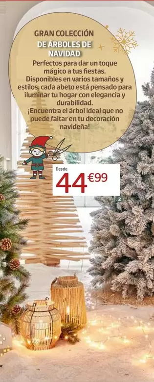 Abeto Charlton Xmas TIPS 220