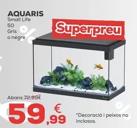 Small Life - Acuarios