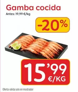 Solo - Gamba Cocida