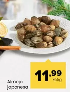 Almeja Japonesa