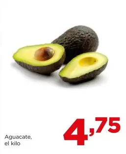 Aguacate