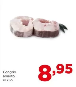 Alimerka - Congrio Abierto