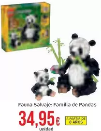 Salvaje - Fauna : Familia De Pandas