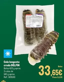 Delfín - Cola Langosta Cruda