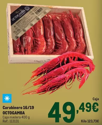 Octogamba - Carabinero 16/19