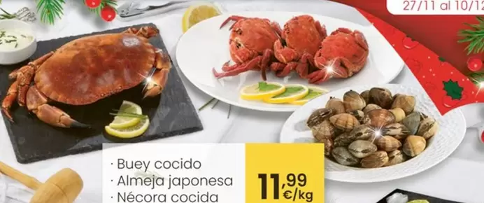 Buey Cocido/Almeja Japonesa/Nécora Cocida