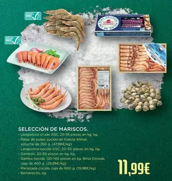 Galicia - Selección De Mariscos
