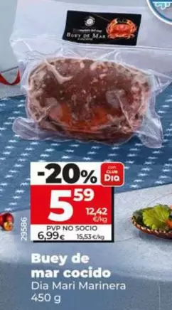 Dia Mari Marinera - Buey De Mar Cocido